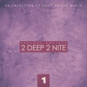 2 Deep 2 Nite, Vol. 1