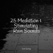 25 Mediation & Stimulating Rain Sounds