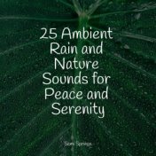 25 Ambient Rain and Nature Sounds for Peace and Serenity