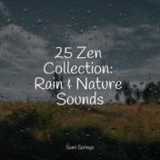 25 Zen Collection: Rain & Nature Sounds