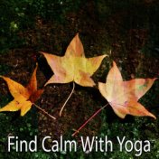 Find Calm With Yoga