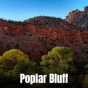 Poplar Bluff