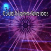40 Sounds To Experience Nature Indoors