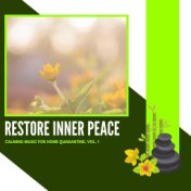 Restore Inner Peace - Calming Music For Home Quarantine, Vol. 1