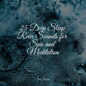 25 Deep Sleep Rain Sounds for Spa and Meditation