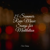 25 Summer: Rain Music Songs for Meditation