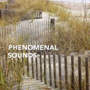 Phenomenal Sounds for Meditative Healing