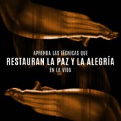 Aprenda las Técnicas que Restauran la Paz y la Alegría en la Vida (Meditación y Yoga, Relajación en el Spa)