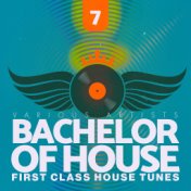 Bachelor of House, Vol. 7