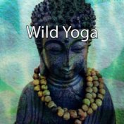 Wild Yoga