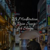 25 Meditation & Rain Songs for Sleep