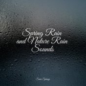 Spring Rain and Nature Rain Sounds
