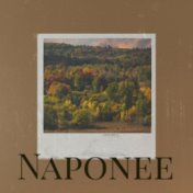 Naponee