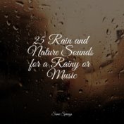 25 Rain and Nature Sounds for a Rainy or Music