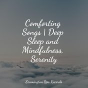 Comforting Songs | Deep Sleep and Mindfulness, Serenity