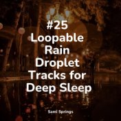 #25 Loopable Rain Droplet Tracks for Deep Sleep