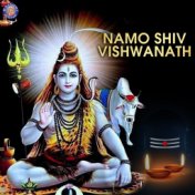 Namo Shiv Vishwanath