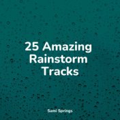 25 Amazing Rainstorm Tracks