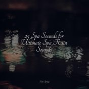 25 Spa Sounds for Ultimate Spa Rain Sounds