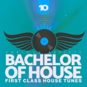 Bachelor of House, Vol. 10