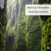 Stormy Forest