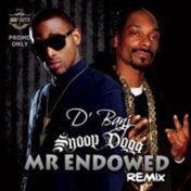 Mr Endowed (Remix)