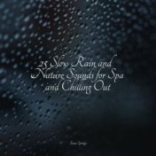 25 Slow Rain and Nature Sounds for Spa and Chilling Out
