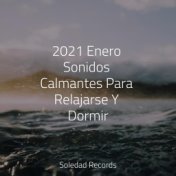 2021 Enero Sonidos Calmantes Para Relajarse Y Dormir