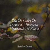 Ola De Calor De Invierno | Hermosa Meditación Y Sueño