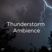!!!" Thunderstorm Ambience  "!!!
