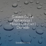 Sonidos De La Naturaleza | Música Curativa | Dormido