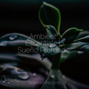 Ambient Essentials | Sueño Profundo