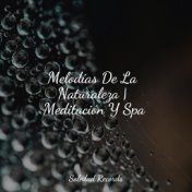 Melodías De La Naturaleza | Meditación Y Spa