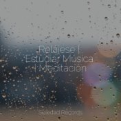 Relájese | Estudiar Música | Meditación