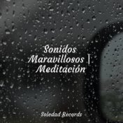 Sonidos Maravillosos | Meditación