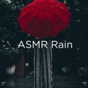 !!" ASMR Rain "!!