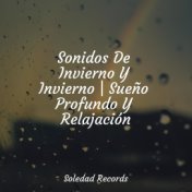 Sonidos De Invierno Y Invierno | Sueño Profundo Y Relajación