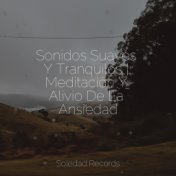 Sonidos Suaves Y Tranquilos | Meditación Y Alivio De La Ansiedad