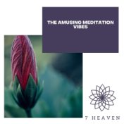 The Amusing Meditation Vibes