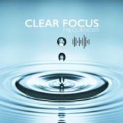 Study Focus Frequencies: Concentration Playlist