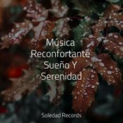 Música Reconfortante Sueño Y Serenidad