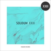 Solidum XXIII