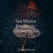 Spa Música Meditación Concentración