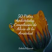 50 Pistas Ambientales: Compilación de Alivio de la Ansiedad
