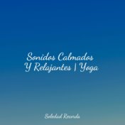 Sonidos Calmados Y Relajantes | Yoga