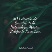 50 Colección de Sonidos de la Naturaleza: Música Relajante Para Leer