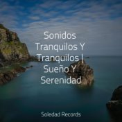 Sonidos Tranquilos Y Tranquilos | Sueño Y Serenidad