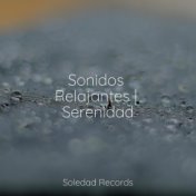 Sonidos Relajantes | Serenidad