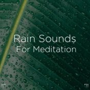 !!" Rain Sounds For Meditation "!!