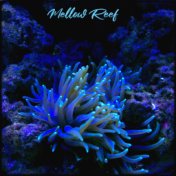 Mellow Reef